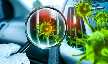 Global Antimicrobial Nanocoatings Market Size to Reach $3.1 Billion at a CAGR of 20.9% by 2030