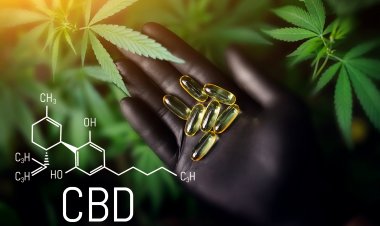 Global CBD Nutraceuticals Market Size to Reach $28.2 Billion at a CAGR of 18.9% by 2030