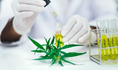 Global Synthetic Cannabinoids Market Size to Reach $6.7 Billion at a CAGR of 21.9% by 2030