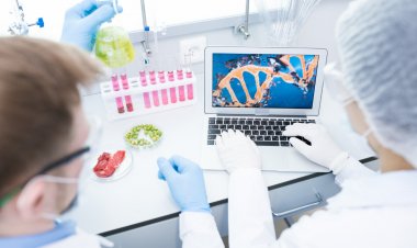 Global Genomic Biomarkers Market Size to Reach $8.6 Billion at a CAGR of 12.9% by 2030