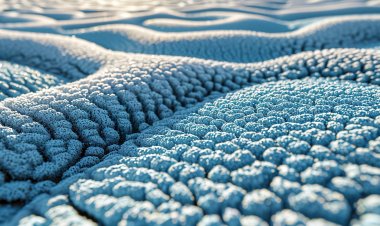 Global Super Absorbent Polymer Market Size to Reach $14.3 Billion at a CAGR of 5.1% by 2030