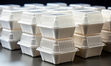 Global Molded Pulp Packaging Market Size to Reach $9.06 Billion at a CAGR of 5.25% by 2032