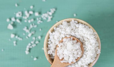 Global Glutaraldehyde Market Size to Reach $985.7 Million at a CAGR of 4.8% by 2032