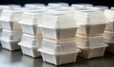 Die globale Marktgröße für Zellstoffverpackungen soll bis 2032 9,06 Milliarden US-Dollar bei einer CAGR von 5,25 % erreichen