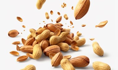 Der globale Markt für die Behandlung von Erdnussallergien soll bis 2032 ein Volumen von 1.278,3 Millionen US-Dollar erreichen und eine durchschnittliche jährliche Wachstumsrate von 11,6 % aufweisen