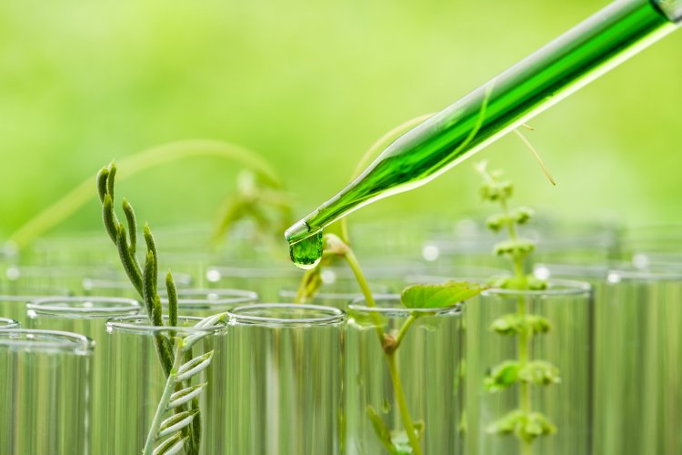 Global Biosurfactants Market Size to Reach $6.9 Billion at a CAGR of 5.4% by 2032