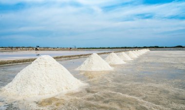 Der globale Markt für Polymersand soll bis 2030 ein Volumen von 170,8 Milliarden US-Dollar erreichen und eine durchschnittliche jährliche Wachstumsrate von 6,8 % aufweisen