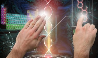 Der globale Markt für die Synthese des gesamten Genoms soll bis 2030 ein Volumen von 12,2 Milliarden US-Dollar erreichen und eine durchschnittliche jährliche Wachstumsrate von 26,1 % aufweisen