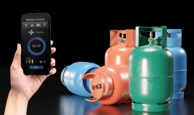 Das weltweite Smart-Gas-Marktvolumen wird bis 2030 45,3 Milliarden US-Dollar erreichen und eine durchschnittliche jährliche Wachstumsrate von 16,9 % aufweisen