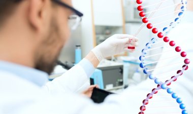 Der globale Markt für die Herstellung von Zell- und Gentherapien wird bis 2030 ein Volumen von 15,4 Milliarden US-Dollar erreichen und eine durchschnittliche jährliche Wachstumsrate von 18,2 % aufweisen