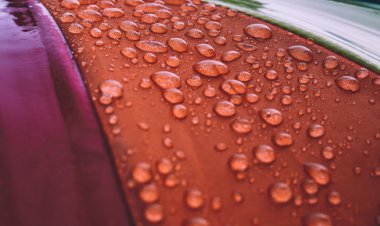Der globale Markt für superhydrophobe Beschichtungen soll bis 2030 ein Volumen von 110 Millionen US-Dollar erreichen und eine durchschnittliche jährliche Wachstumsrate von 25,2 % aufweisen