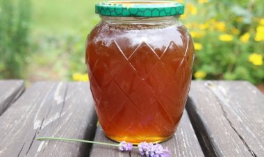 Der globale Kombucha-Markt wird bis 2030 ein Volumen von 1,1 Milliarden US-Dollar erreichen und eine durchschnittliche jährliche Wachstumsrate von 17,14 % aufweisen.