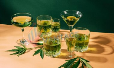 Der globale Markt für alkoholische Getränke auf Cannabisbasis wird bis 2030 ein Volumen von 1,1 Milliarden US-Dollar erreichen und eine durchschnittliche jährliche Wachstumsrate von 13,3 % aufweisen
