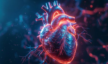 Cardiogenic Shock Treatment Market 2024-2034 | Size, Share, Trends