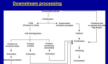 Downstream Processing Market Size, Analytical Overview, Growth Factors, Demand and Trends Forecast to 2032