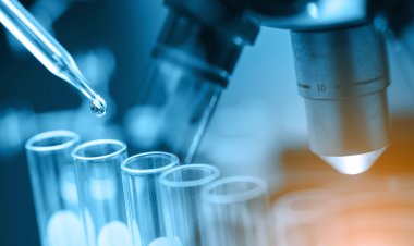 Clinical Microbiology Market Trends in Market Growth: Size, Demand, and Key Players Analysis for 2032