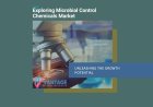Exploration du potentiel de croissance du marché des produits chimiques de contrôle microbien