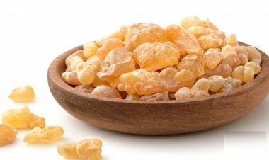 Boswellia Market Outlook by Application: Size and Growth Trends till 2032