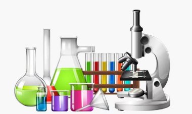 Tendances du marché de l'hypochlorite de sodium et prévisions de croissance (2025-2034) : ce que vous devez savoir