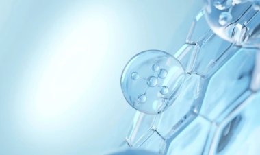 Durabilité et innovation sur le marché de l'acide hyaluronique de qualité médicale (2025-2034)