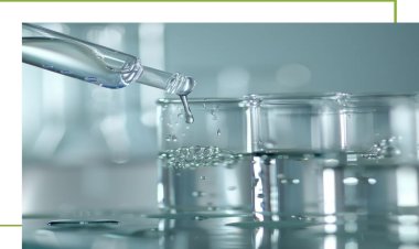 Demande croissante d'alcool laurylique et myristylique dans les soins personnels et les applications industrielles (2025-2034)