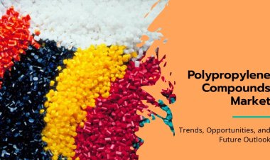 Innovations in Polypropylene Compounds: Sustainability and Performance Across Industries