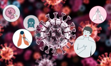 Humanes Metapneumovirus (HMPV) verstehen: Was Sie wissen müssen
