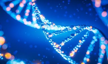 The Rising Popularity of Fat Transfer Procedures: Why Autologous Fat Grafting Is in Demand