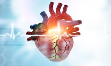 Key Innovations Driving Growth in the Cardiogenic Shock Treatment Market
