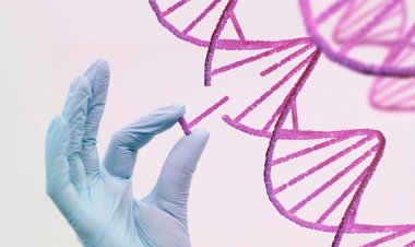 Emerging Trends in the Genetic Testing Market: How Technology Is Transforming Diagnostics