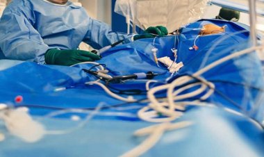 Top Trends in Electrophysiology Devices: Transforming Cardiac Care in 2025