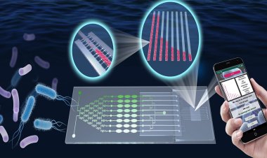 Advancing Global Health: Trends in the Antimicrobial Susceptibility Testing Market