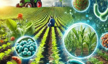 Agricultural Biologicals Market: Growth, Trends & Key Insights (2025-2030)