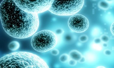 Current Trends Influencing the 3D Cell Culture Market