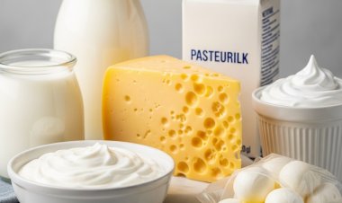 Global Dairy Ingredients Market: Trends, Growth, and Future Outlook to 2030