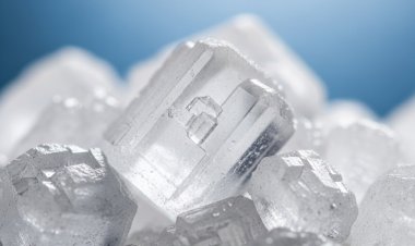 世界の砂糖価格は、気候、政策の不確実性、消費者の変化により不安定なまま