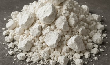 堅調な産業需要と輸出の勢いにより、2025年5月に世界の生石灰価格が上昇