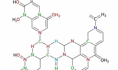 トリプトファンの価格は6月に反発する傾向があります。世界市場は調整局面に入る