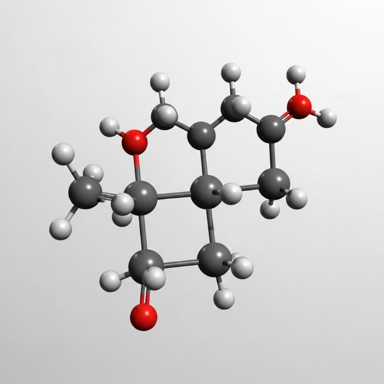 2025年5月まで反ダンピング調査が継続され、インドのEDA市場に不確実性が迫る