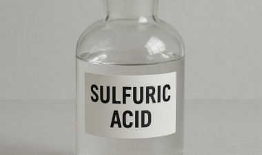 Sulfuric Acid Market Analysis 2025: Trends, Dynamics, Challenges & North America Insights