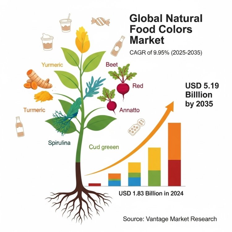 Natural Food Colors Market Size, Trends & Forecast (2024–2035) | CAGR of 9.95%