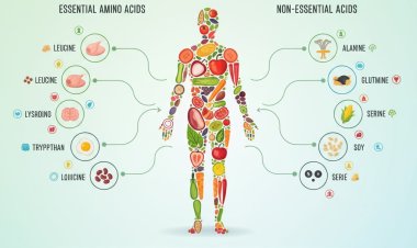Food Amino Acids Market Size Worth USD 21.2 Billion by 2035 | CAGR 8.00%