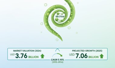 Algae Protein Market Size, Growth & Forecast 2025–2035 | CAGR 5.9%