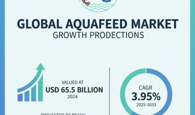 Global Aquafeed Market Size, Share & Growth Forecast (2025–2035) | CAGR 3.95%