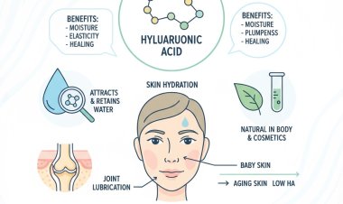 Global Hyaluronic Acid Market Size, Growth & Trends (2025-2035)